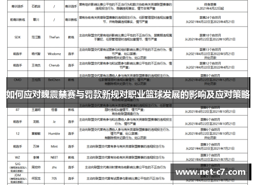 如何应对魏震禁赛与罚款新规对职业篮球发展的影响及应对策略