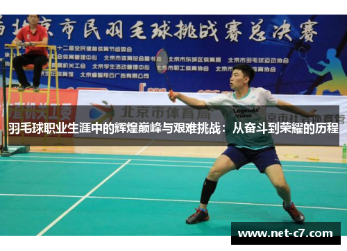 羽毛球职业生涯中的辉煌巅峰与艰难挑战：从奋斗到荣耀的历程