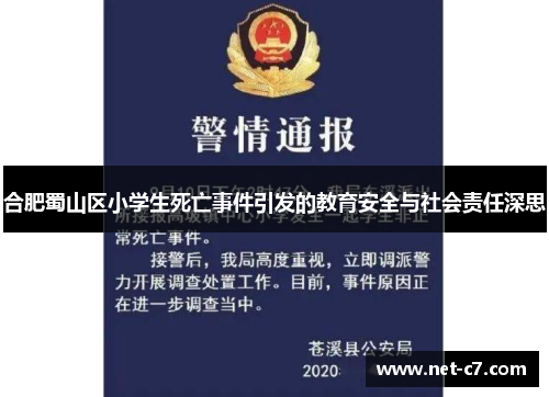 合肥蜀山区小学生死亡事件引发的教育安全与社会责任深思