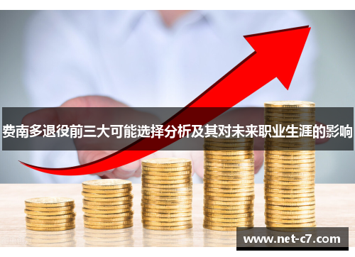 费南多退役前三大可能选择分析及其对未来职业生涯的影响
