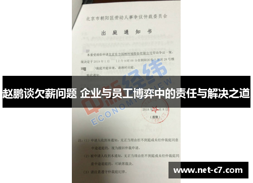 赵鹏谈欠薪问题 企业与员工博弈中的责任与解决之道